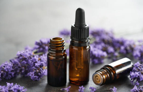 Huile Essentielle de Lavande Vraie 100% pure et naturelle 10ml – Image 4